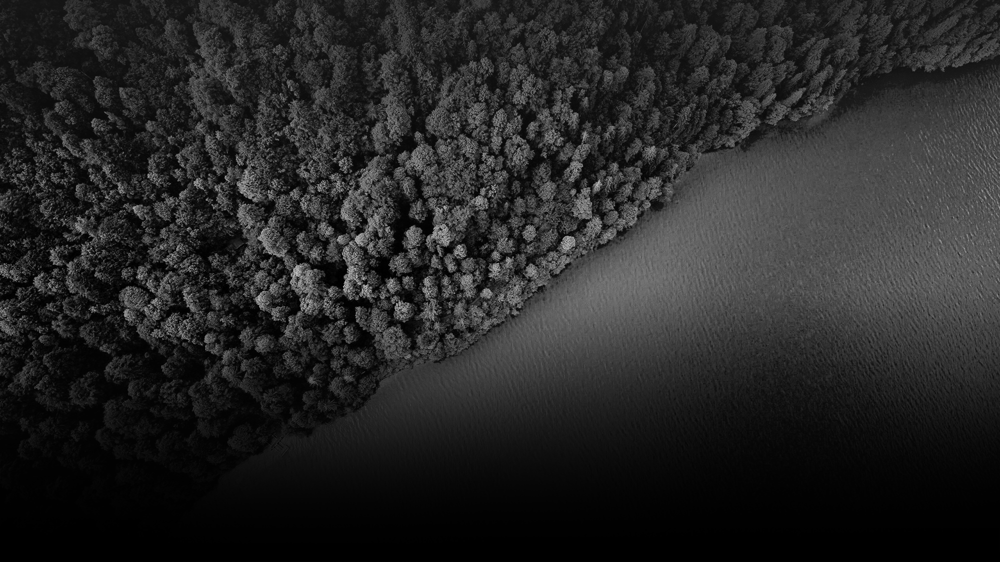 Photo by Andreas Gucklhorn